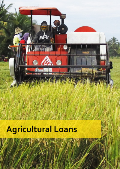 Small to medium-sized loans for agricultural crops and livestock production, and high-valued items and farm products.