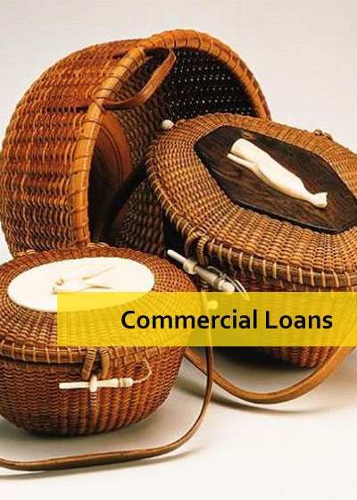 Various commercial loans catering to business firms including micro-enterprises, market vendors and stall-holders, rural/provincial industries as well as big business units.